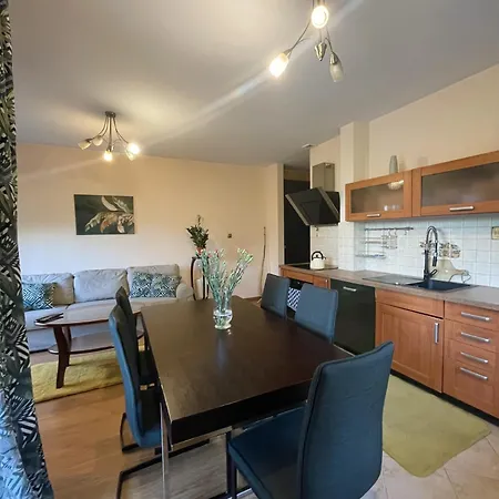 Apartament Idylla 扎科帕内